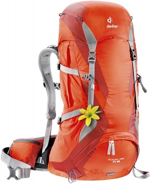 Deuter Futura Pro 34 SL