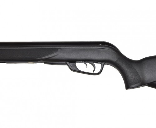 Gamo Black Bear