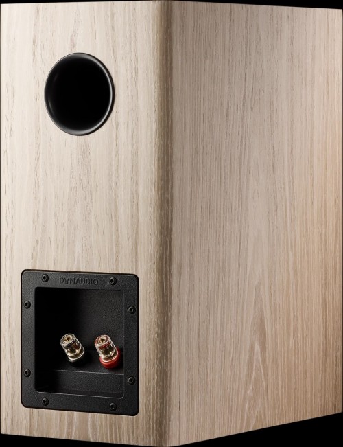 Dynaudio Evoke 20