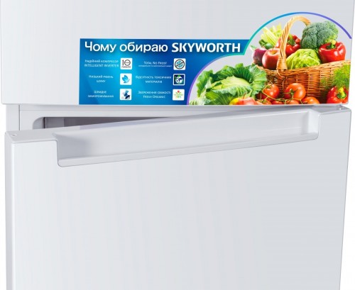 Skyworth SRD-489CBEW