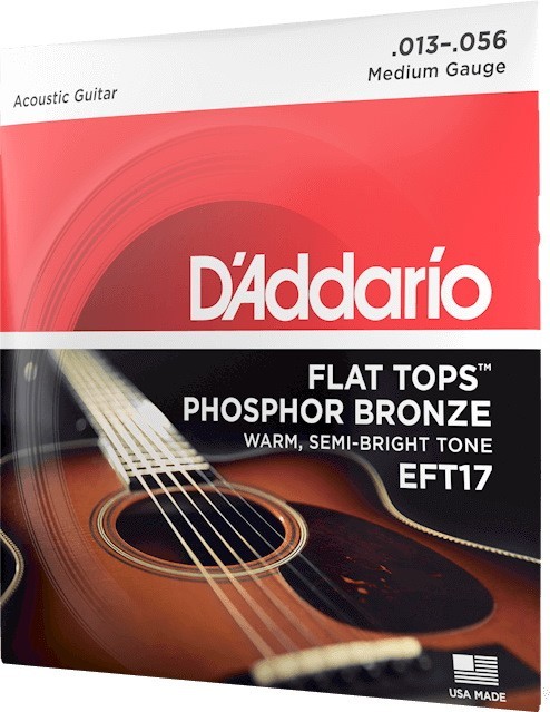 DAddario Flat Top Phosphor Bronze 13-56