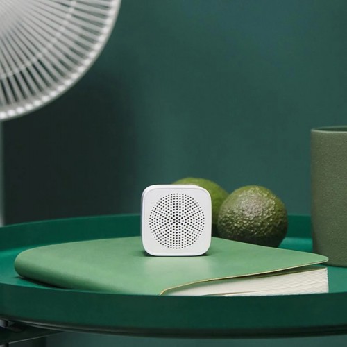 Xiaomi XiaoAI Portable Speaker