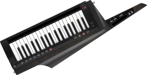 Korg RK-100S 2