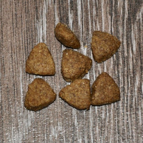 Pro Plan Large Adult Athletic Chicken 14 kg