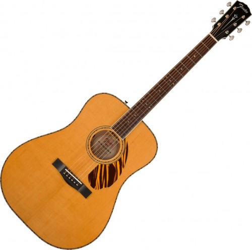 Fender PD-220E Dreadnought