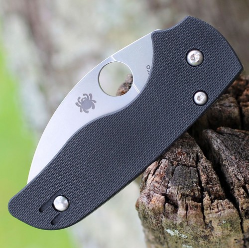 Spyderco Lil' Native Wharncliffe