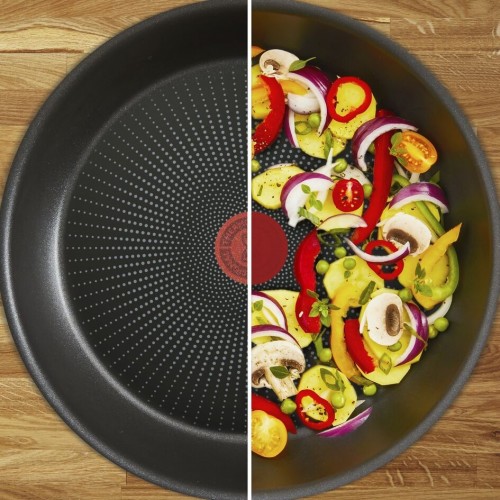 Tefal Resource C2950453