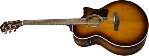 Ibanez AE160