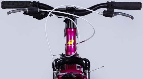 Formula Blackwood Vbr 20 2025