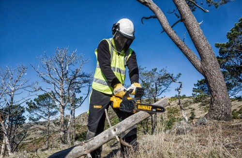 DeWALT DCM565N