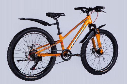 Formula Acid DD FR 24 2025