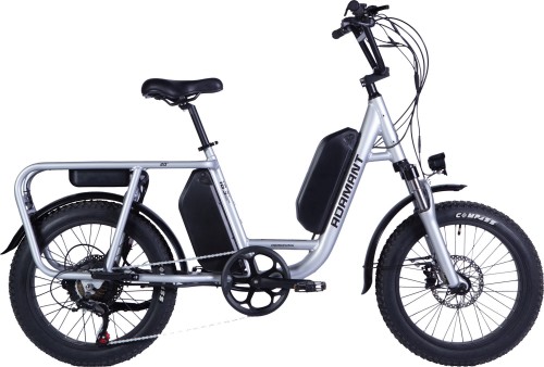 Dorozhnik eAdamant DD FR 1000W 2025