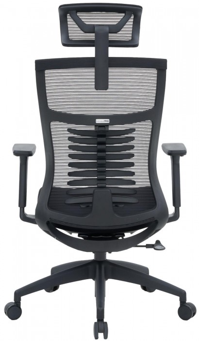 OfficePro Balance OC550