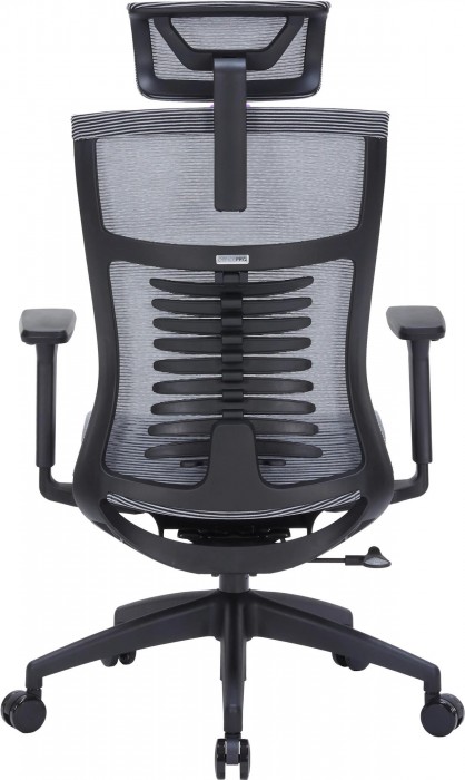 OfficePro Balance OC620