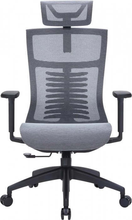 OfficePro Balance OC620
