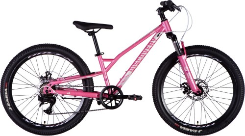 Discovery Flint DD FR 24 2025