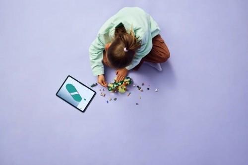 Lego Elphabas Retreat 75687