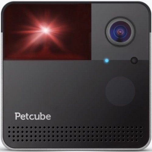 Petcube Play 2