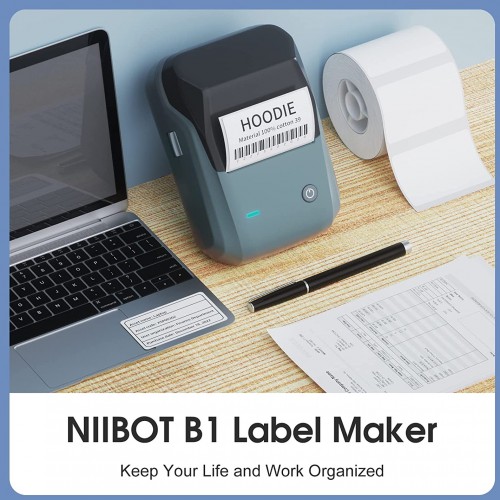 Niimbot B1