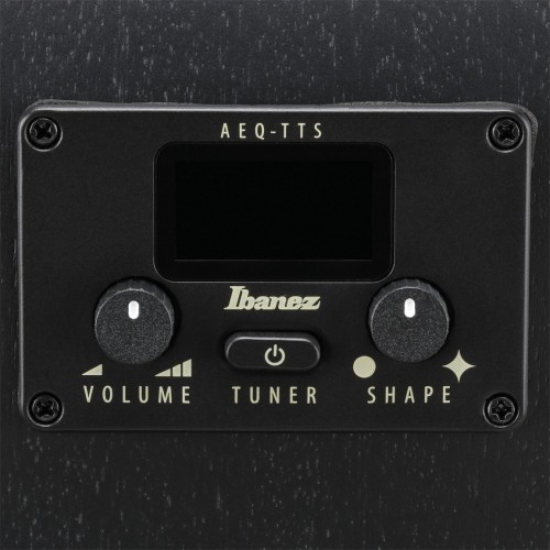 Ibanez AEG1221