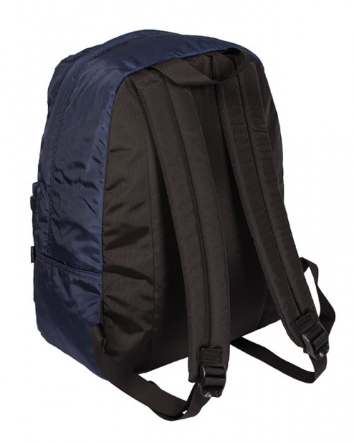 One Polar 1611