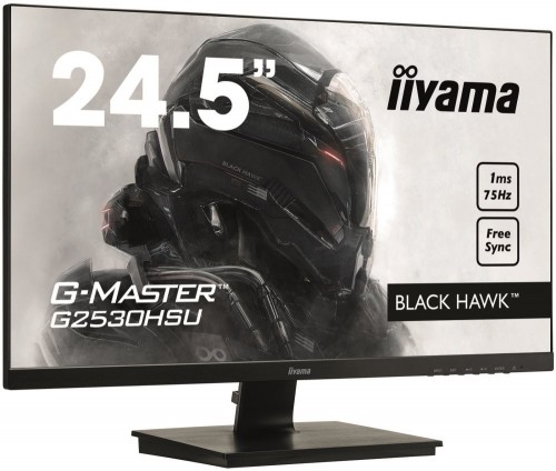 Iiyama G-Master G2530HSU-B1