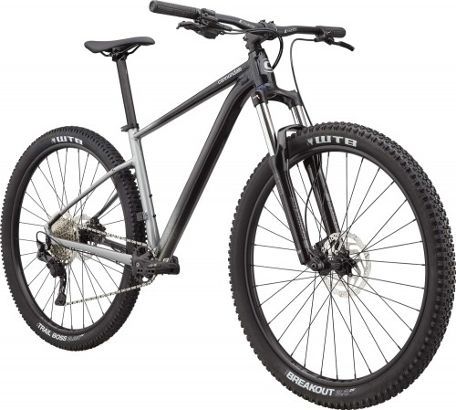 Cannondale Trail SE 4 2021