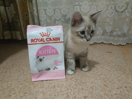 Royal Canin Kitten 2 kg