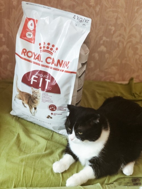 Royal Canin Fit 32 2 kg