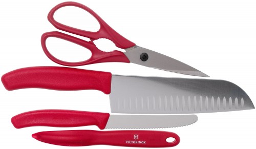 Victorinox Swiss Classic 6.7131.4G