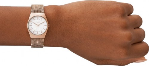 Skagen SKW3078