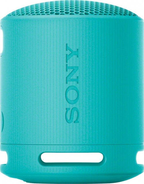 Sony SRS-XB100