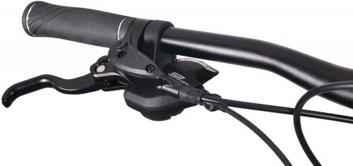 MBM Maxilux 29 2022