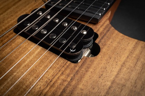 Strandberg Boden Prog NX 6