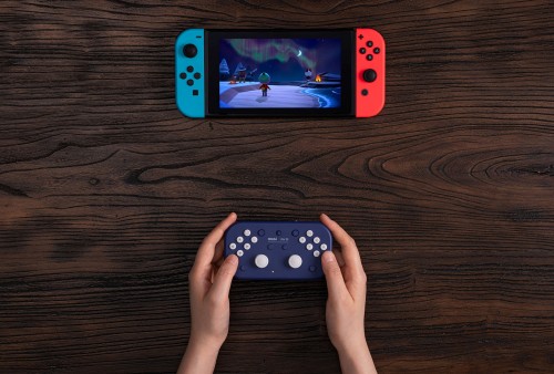 8BitDo Lite SE