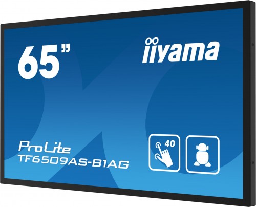 Iiyama ProLite TF6539AS-B1AG