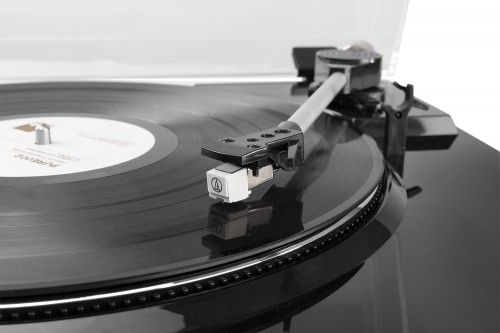 Audizio RP310