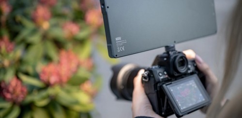 Newell RGB-W Rangha Max XL