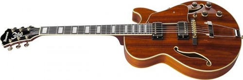 Ibanez AG95K