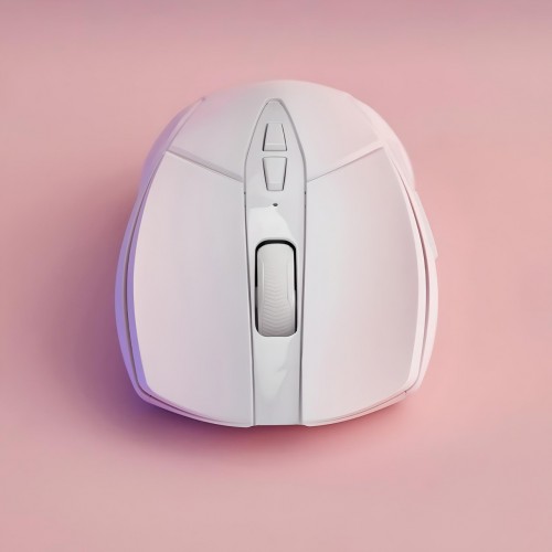 Rapoo V300 SE