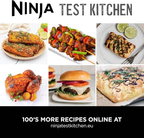 Ninja Foodi Air Grill & Air Fryer