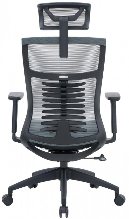OfficePro Balance OC550