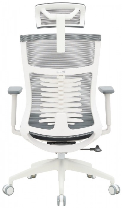OfficePro Balance OC550