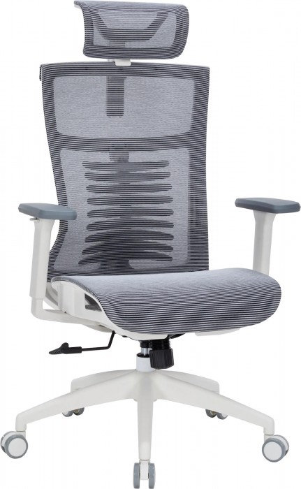 OfficePro Balance OC620