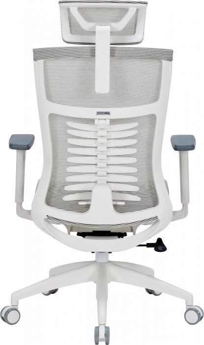 OfficePro Balance OC620