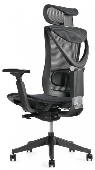 ADAPWORK S1 Mesh Senior ErgoChair