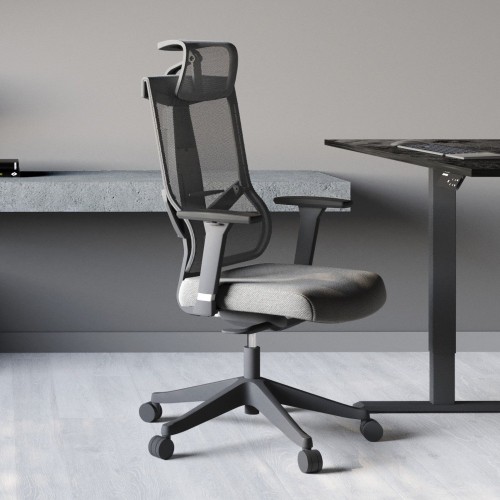 ADAPWORK S2 Mesh Senior ErgoChair