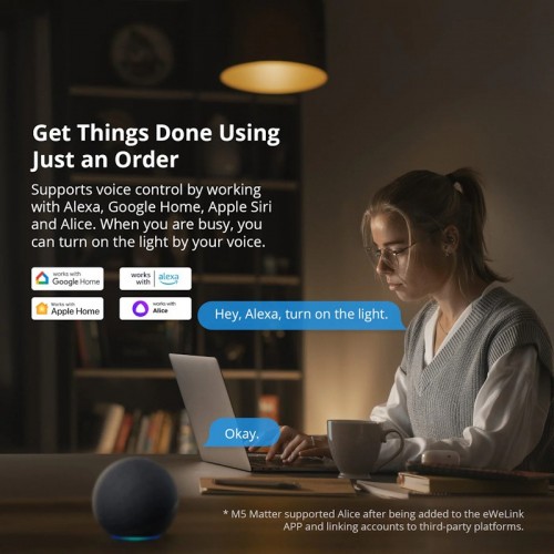 Sonoff SwitchMan Smart Wall Switch M5-3C-80W