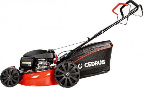 Cedrus KS51S-H
