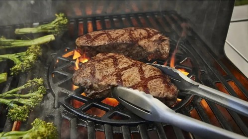 Weber Genesis E-435